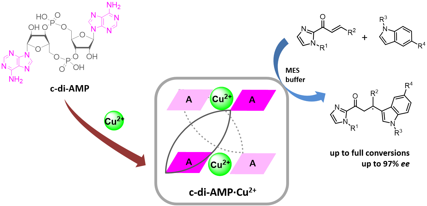 1.png 1.png