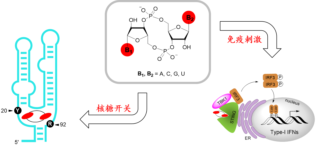 2.png 2.png